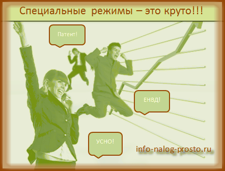 отчеты ИП на спецрежимах